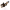 rear passenger seat belt