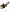 rear passenger seat belt